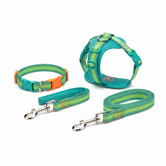 Nylon Pup Set