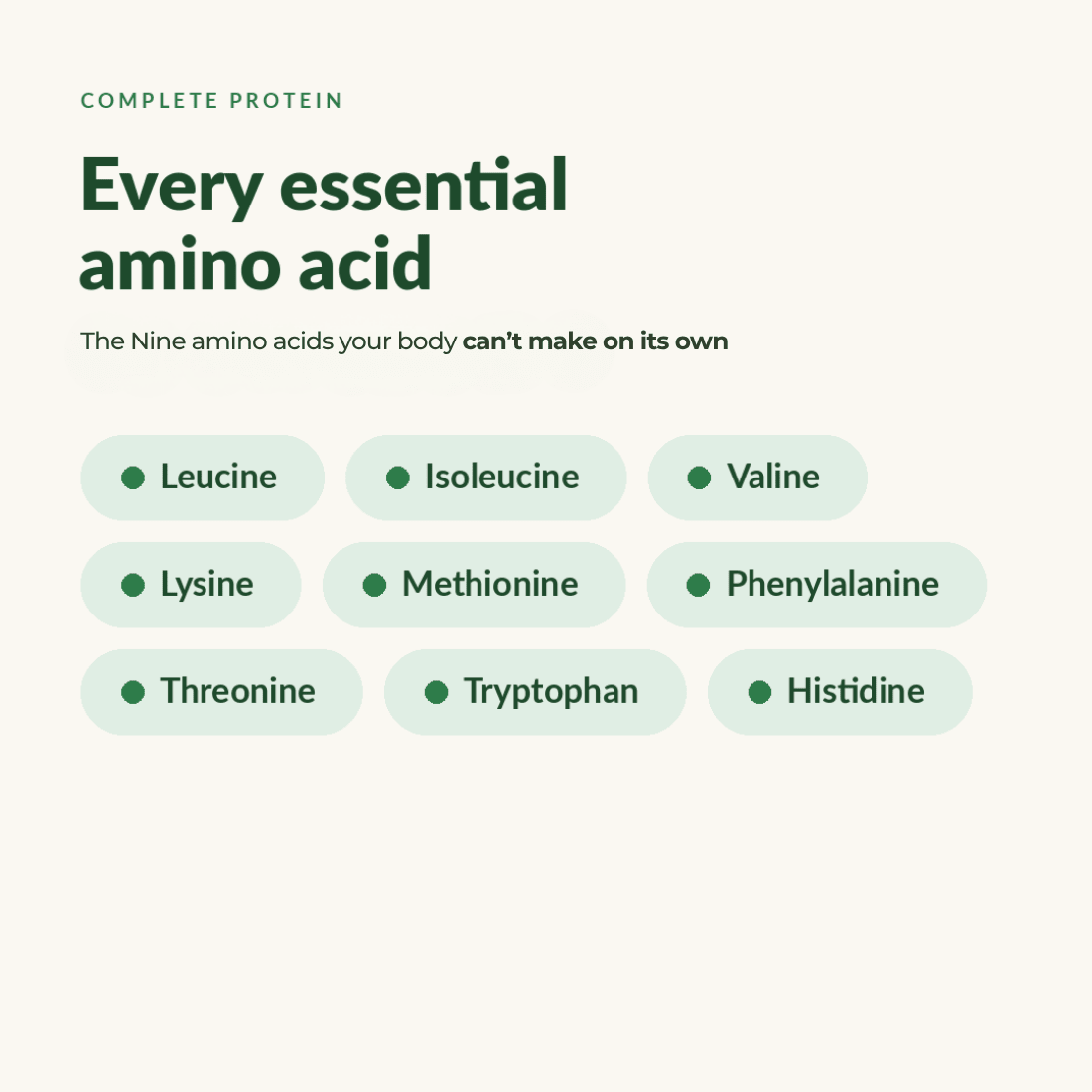 RECOVERYbits® Chlorella | Large Bag